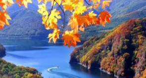 总要去一次丽江吧，看看古城的夜景，听听酒吧里的民谣，感受丽江的诗意烟火