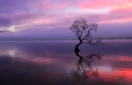 总要去一次丽江吧，看看古城的夜景，听听酒吧里的民谣，感受丽江的诗意烟火