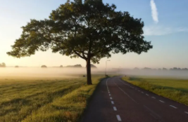 广东研学线路:“诗画东江”——古村探秘路线