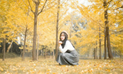 丽江古城导游词[精]