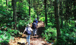 《飘雪》丽江醉乡民谣现场版